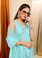 Saree in Sky Blue Colour Looking Wise